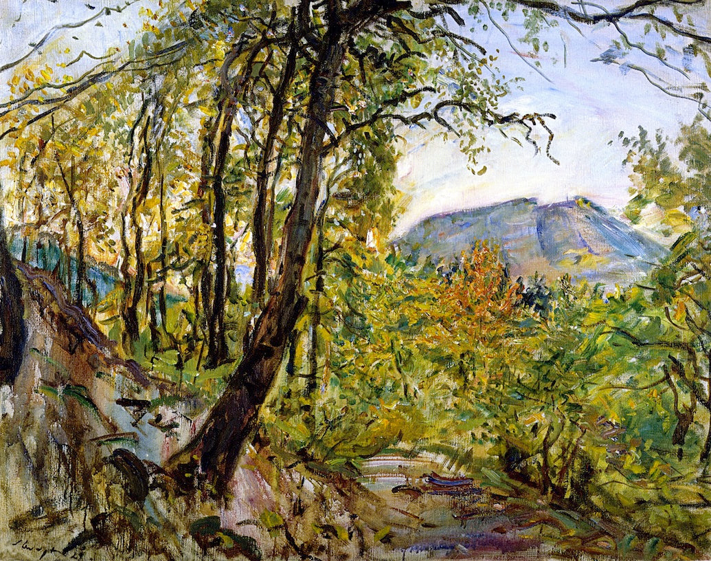 Palatinate Landscape by Max Slevogt,A3(16x12")Poster