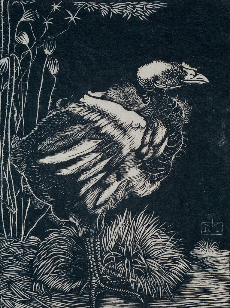 Nesting by Jan Mankes,16x12(A3) Poster