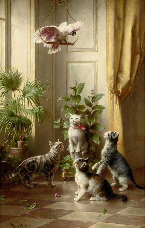 Cats and the cockatoo, vintage artwork by Carl Reichert, 12x8" (A4) Poster