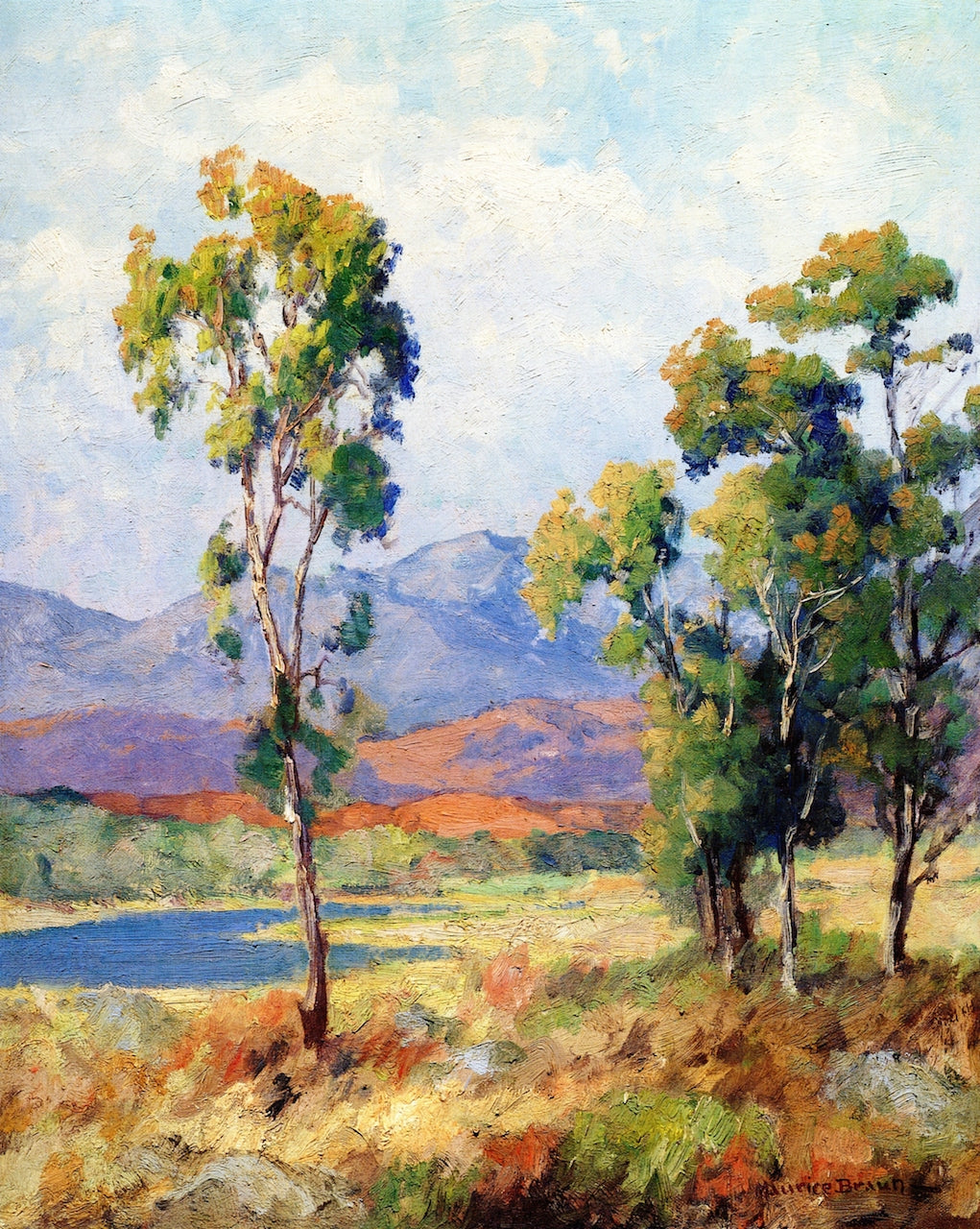 Eucalyptus, vintage artwork by Maurice Braun, 12x8" (A4) Poster