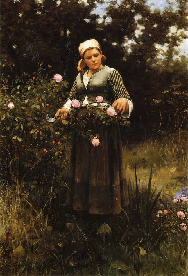 Gathering Roses, vintage artwork by Daniel Ridgway Knight, 12x8" (A4) Poster