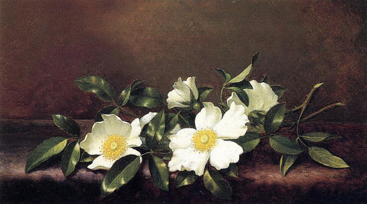 Cherokee Roses on a Purple Cloth, vintage artwork by Martin Johnson Heade, A3 (16x12") Poster Print