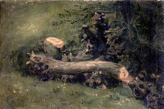 Felled Tree, vintage artwork by Joshua Cristall, 12x8" (A4) Poster