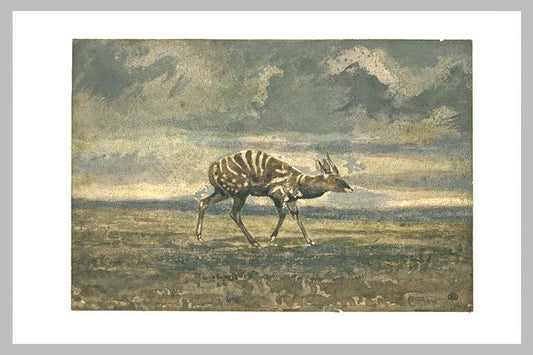 Standing Antelope, vintage artwork by Antoine-Louis Barye, A3 (16x12") Poster Print