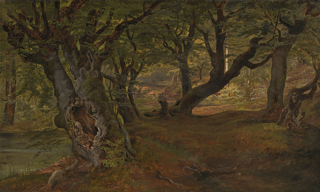 View of Bregentved Forest, Zealand, vintage artwork by Frederik Sødring, A3 (16x12") Poster Print