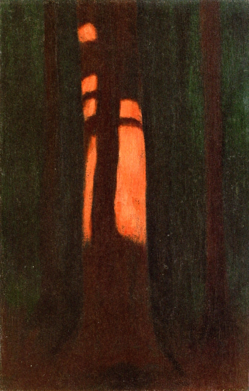 Hard Shadow Cast on Trunk, vintage artwork by Hans Emmenegger, 12x8" (A4) Poster