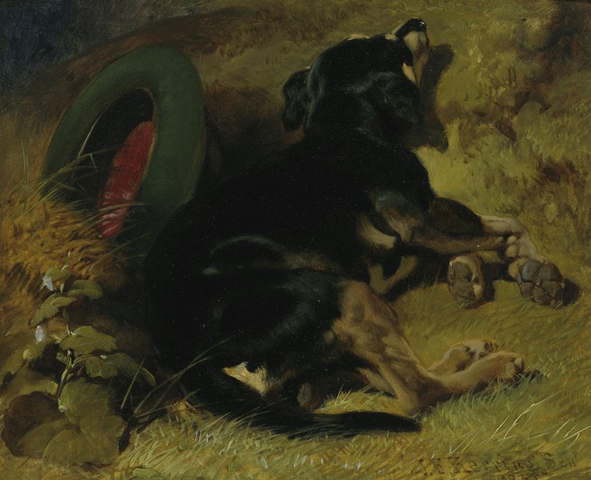 A Dog Sleeping Near a Hat on a Grassy Bank, vintage artwork by John Frederick Herring, Sr, A3 (16x12") Poster Print
