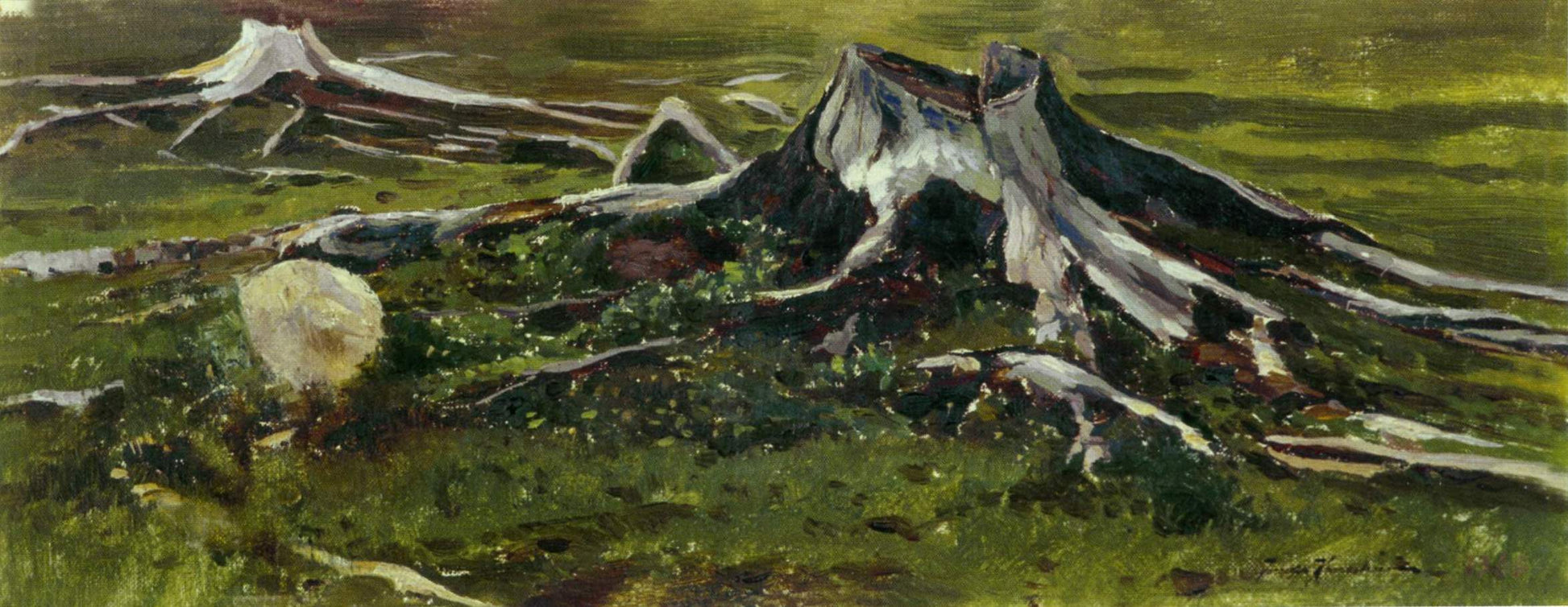 Stumps, vintage artwork by Iosif Krachkovsky, 12x8" (A4) Poster