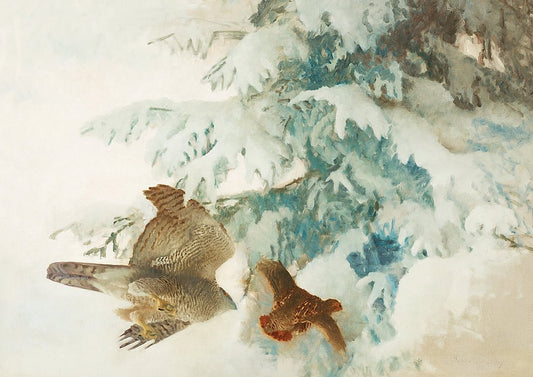 Goshawk Hunting, vintage artwork by Bruno Liljefors, 12x8" (A4) Poster