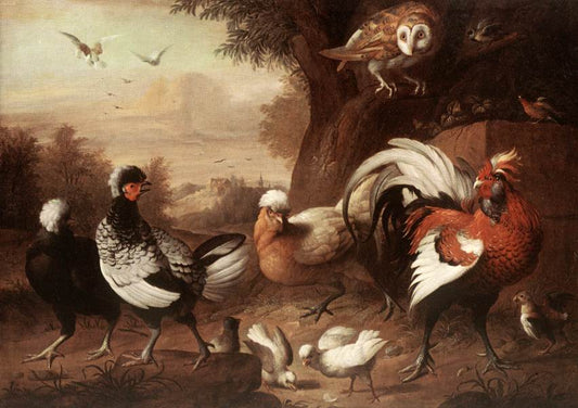 Fowls and Owl, vintage artwork by Jakob Bogdány, 12x8" (A4) Poster