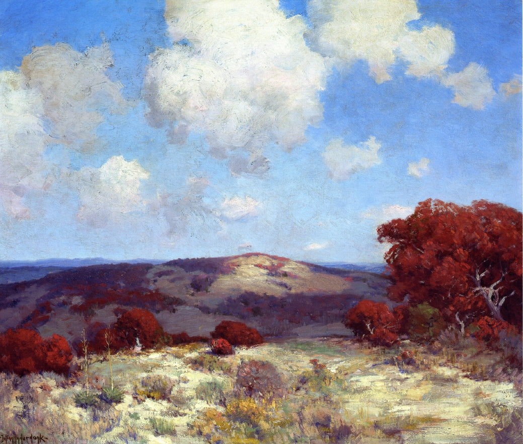In the Hills of the Spanish Oaks by Julian Onderdonk,16x12(A3) Poster