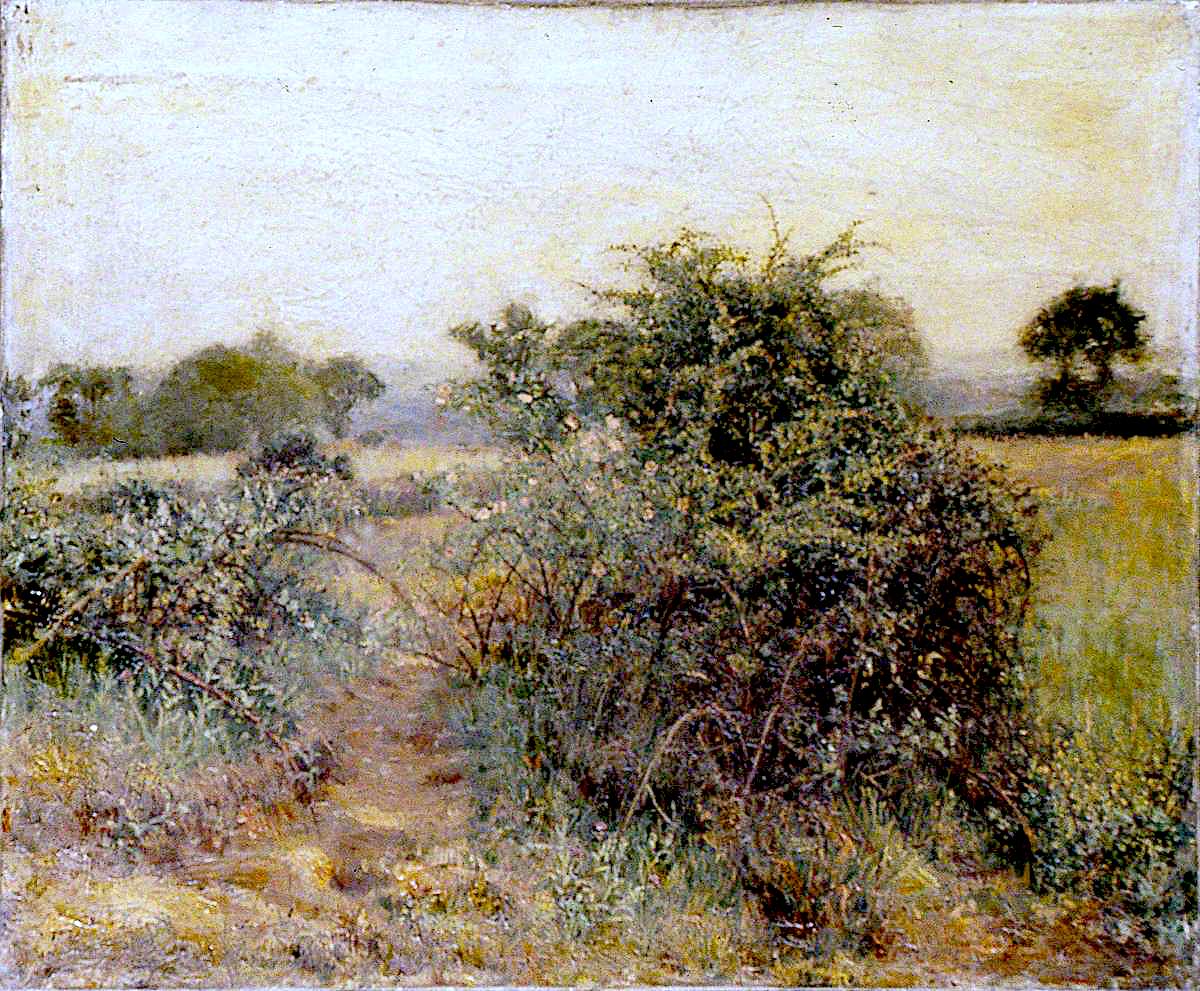 Landscape with Wild Roses by Woodbine Kendall Hinchliff,16x12(A3) Poster