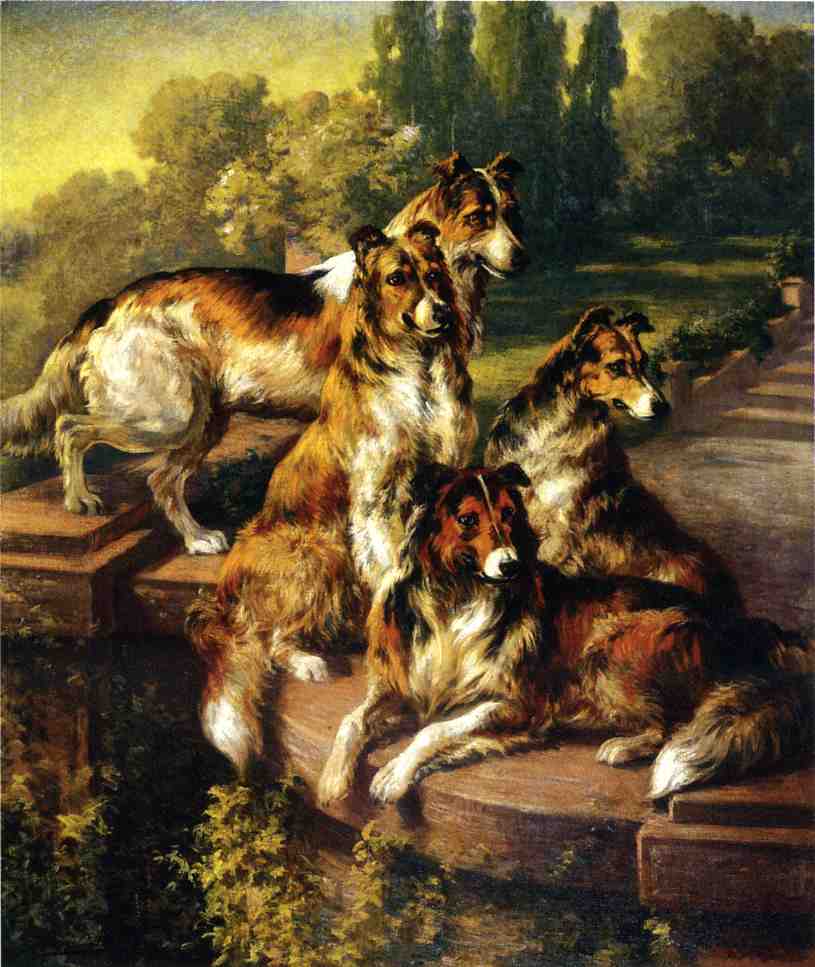Collie Dogs in Formal Garden, vintage artwork by Edmond H. Osthaus, 12x8" (A4) Poster