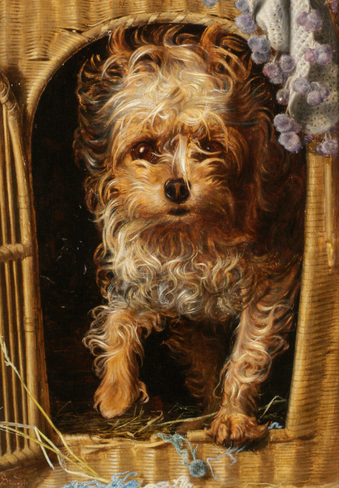 Darby  in his Basket Kennel, vintage artwork by Anthony Frederick Sandys, 12x8" (A4) Poster