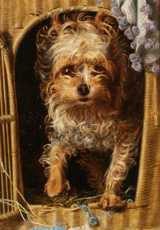 Darby  in his Basket Kennel, vintage artwork by Anthony Frederick Sandys, 12x8" (A4) Poster