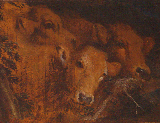 Study for the Heads of Cattle, vintage artwork by Giovanni Castiglione, 12x8" (A4) Poster