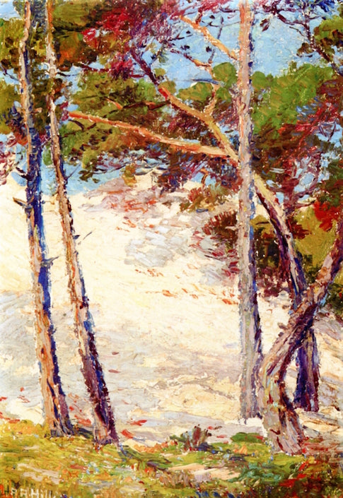 Pines near Pacific Grove by Anna Althea Hills,16x12(A3) Poster