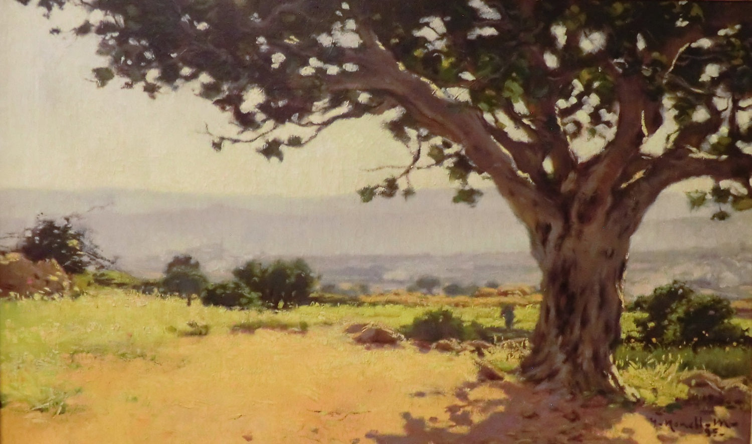 Fig Tree by Isidro Nonell Monturiol,16x12(A3) Poster