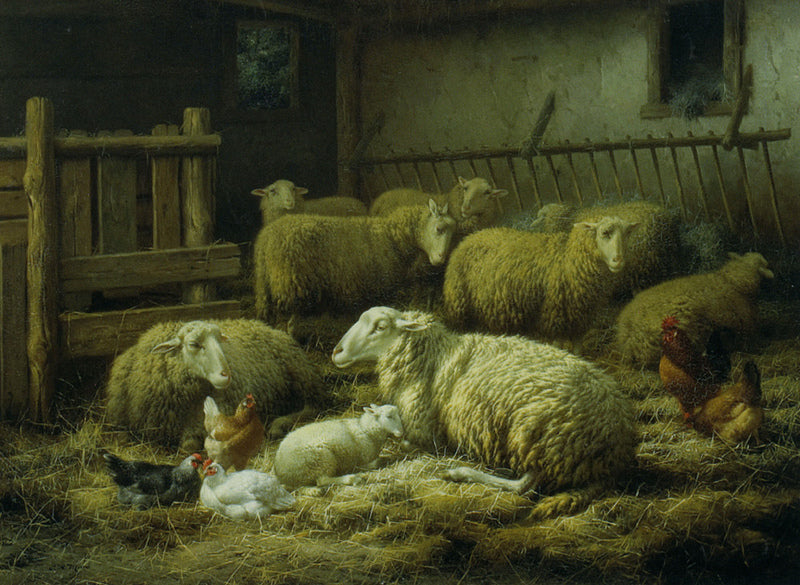 Sheep and Chickens, vintage artwork by Eugène Remy Maes, 12x8" (A4) Poster