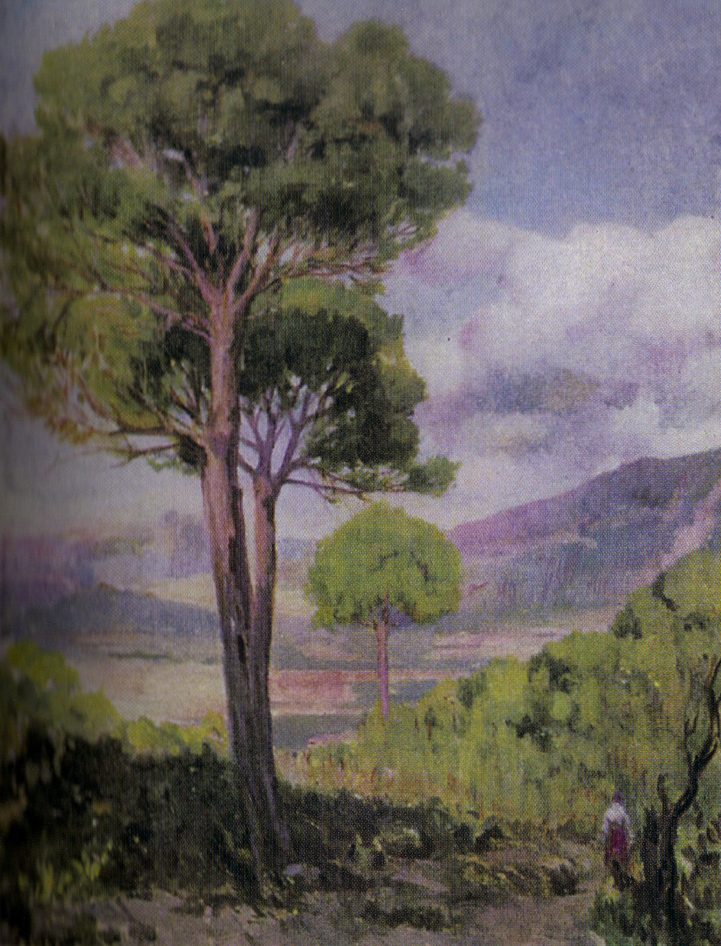 Paisaje con arbol by Fernando Cabrera Canto,A3(16x12")Poster