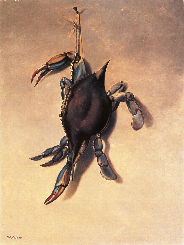 Common Blue Crab, vintage artwork by William Aiken Walker, 12x8" (A4) Poster