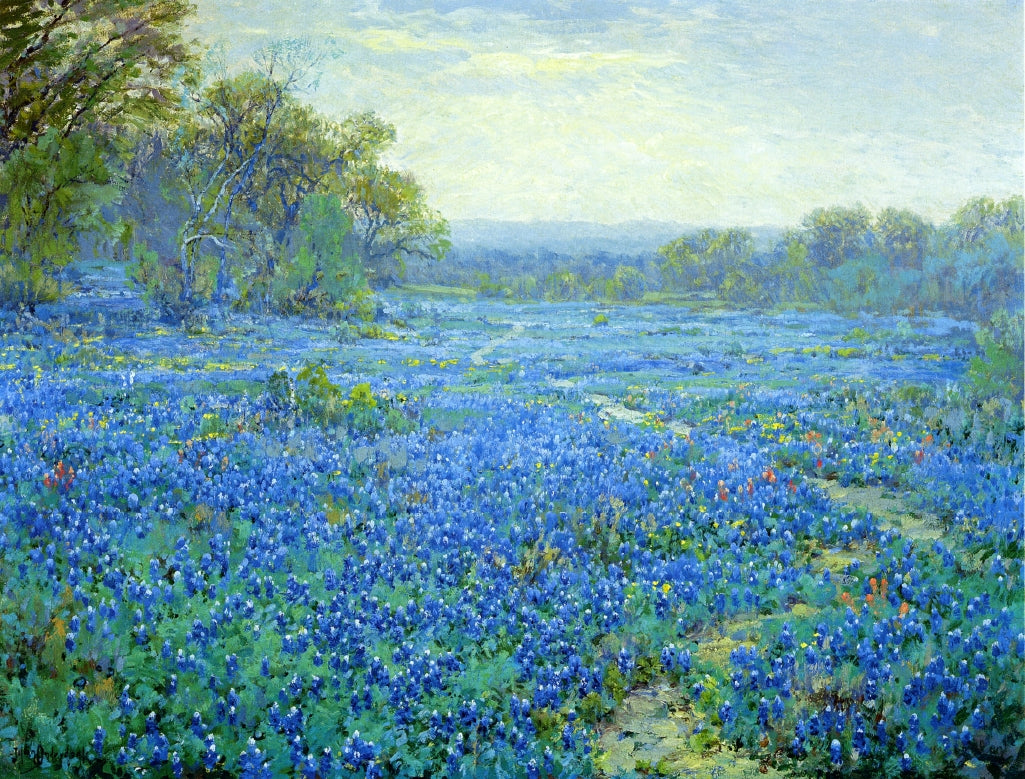 Bluebonnet Scene by Julian Onderdonk,16x12(A3) Poster