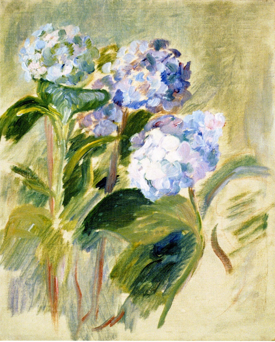Branch of a Hydrangea, vintage artwork by Berthe Morisot, 12x8" (A4) Poster