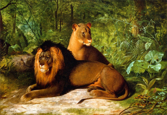 Lion and Lioness, vintage artwork by James Henry Beard, A3 (16x12") Poster Print