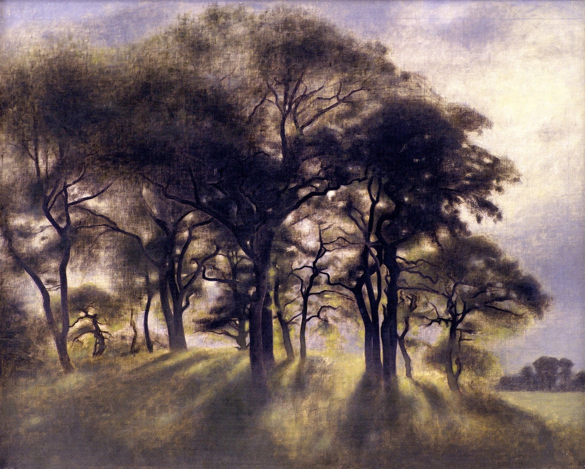 ersborg Deer Park North of Copenhagen by Vilhelm Hammershoi,A3(16x12")Poster