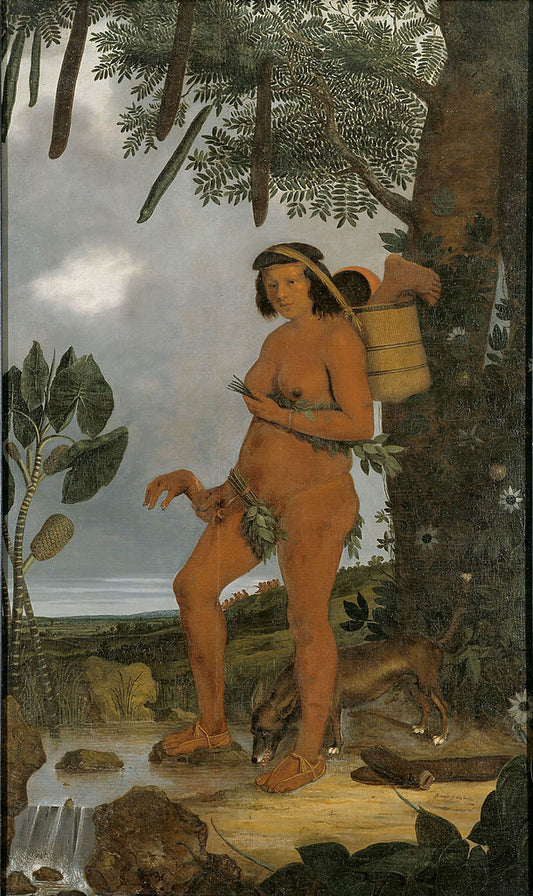 Tapuia Woman, vintage artwork by Albert Eckhout, 12x8" (A4) Poster