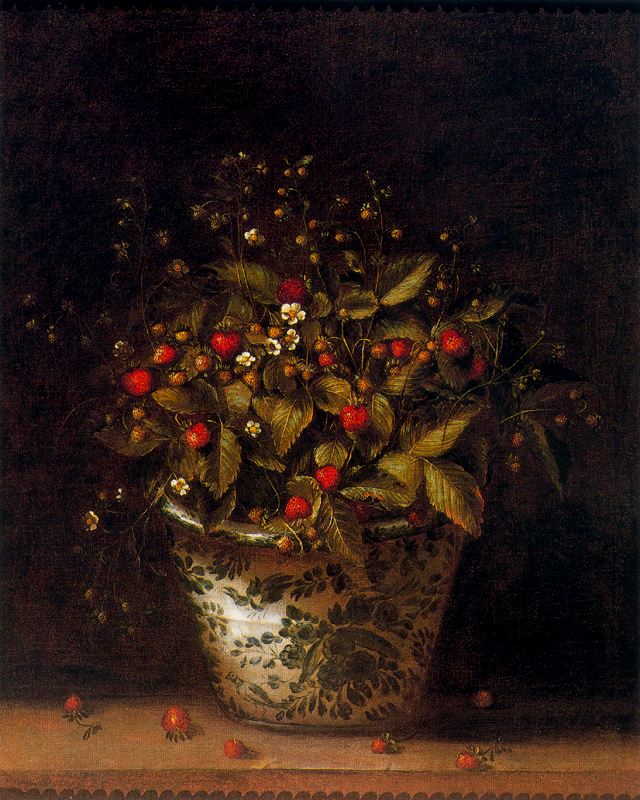 A Strawberry Plant, vintage artwork by Tomàs Yepes, 12x8" (A4) Poster