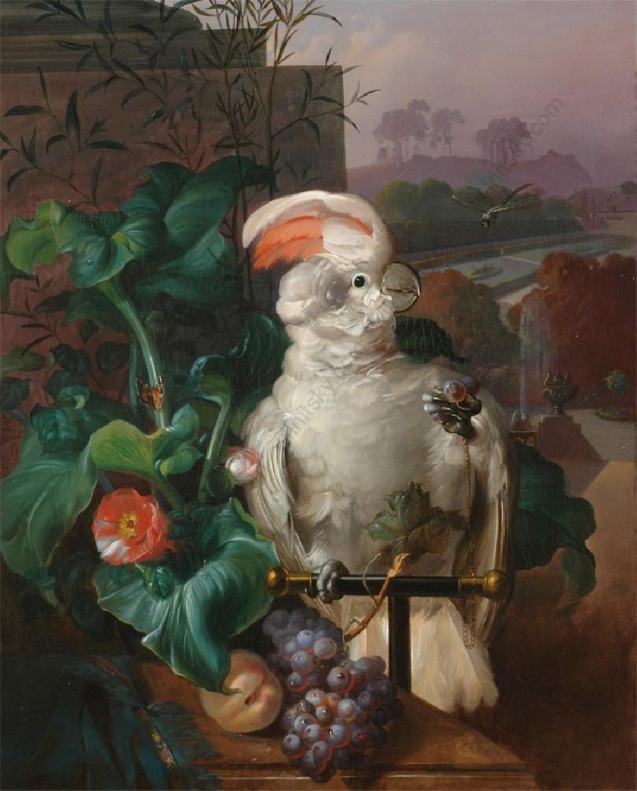 White Court Cockatoo, vintage artwork by Sebastian Wegmayr, 12x8" (A4) Poster