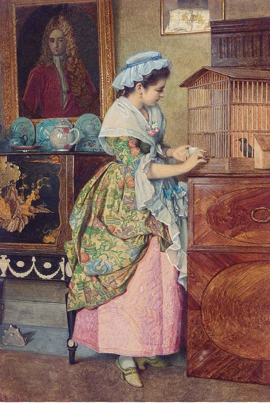 The pet bird, vintage artwork by Edward Killingworth Johnson, 12x8" (A4) Poster