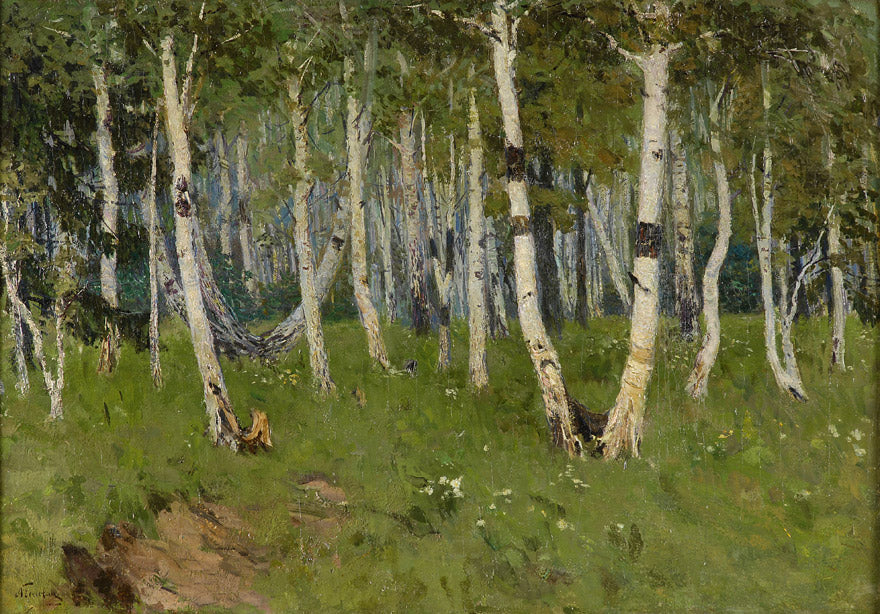 The Birch Grove by Alexander Golovin,A3(16x12")Poster
