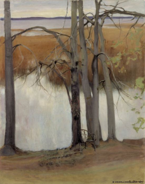 Lake Shore with Reeds by Eero Jarnefelt,A3(16x12")Poster