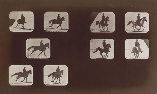 Eadweard J. Muybridge - Studies of Foreshortenings, vintage historic photograph, modern poster print