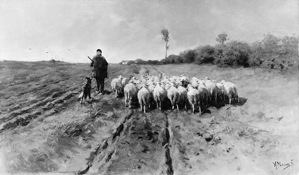 Anton Mauve:The Return to the Fold -16x12"(A3) Poster