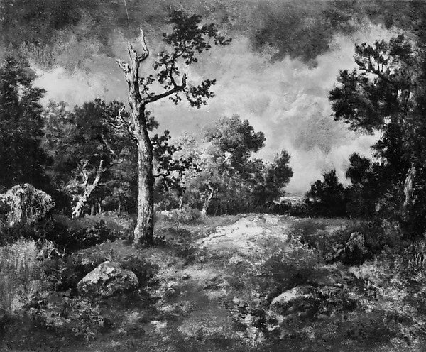 Narcisse-Virgile Diaz de la Peña:The Edge of the Woods 1872-16x12"(A3) Poster