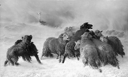 :McIntyre Pitcher Brooklyn National League from the Baseball-16x12"(A3) Poster