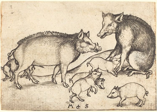 Family of Pigs, vintage artwork by Martin Schongauer, A3 (16x12") Poster Print