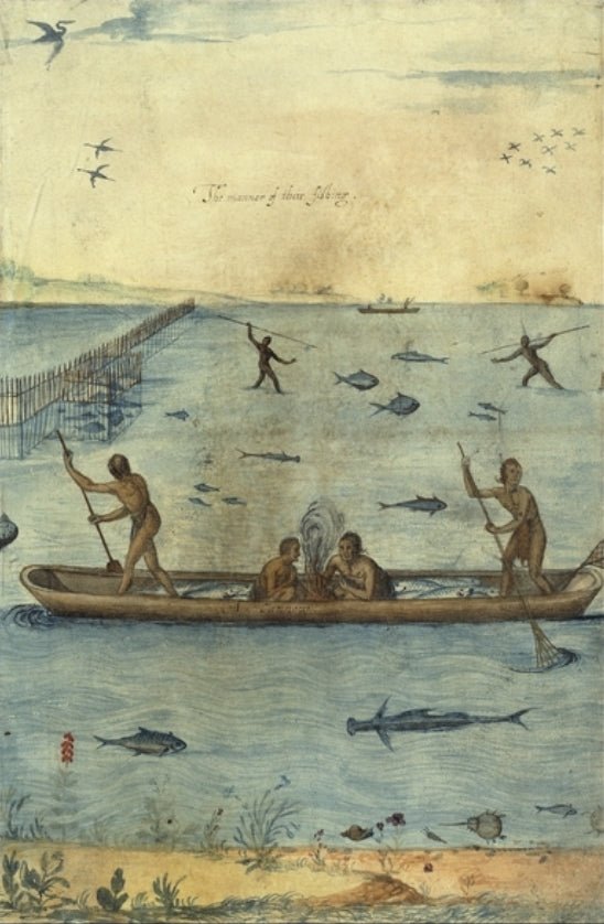 Fishing in the Americas, vintage artwork by John White, A3 (16x12") Poster Print