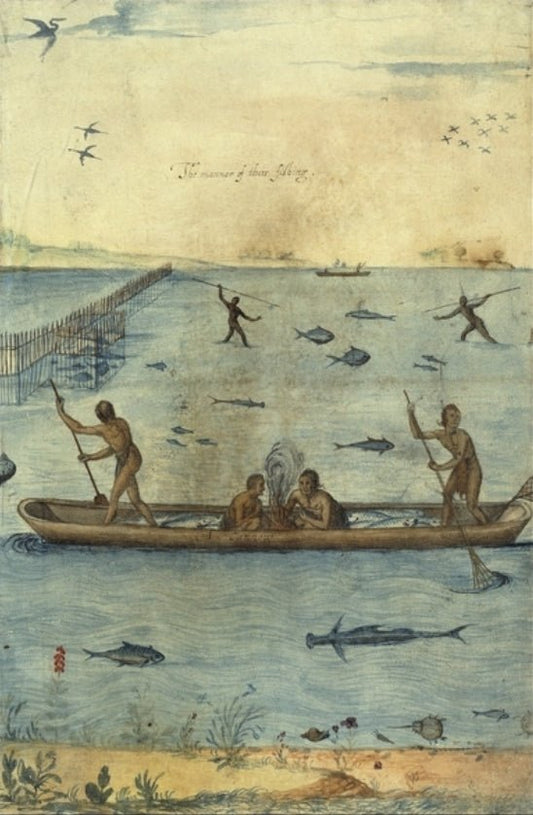 Fishing in the Americas, vintage artwork by John White, A3 (16x12") Poster Print