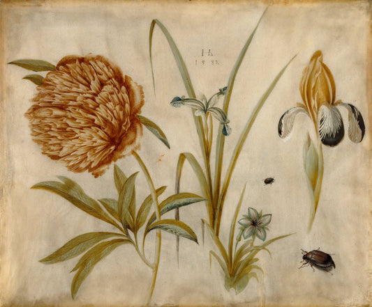 Flowers and Beetles, vintage artwork by Hans Hoffmann, A3 (16x12") Poster Print