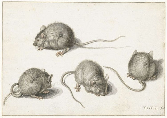 Four Studies of Mice, vintage artwork by Jacob de Gheyn II, A3 (16x12") Poster Print