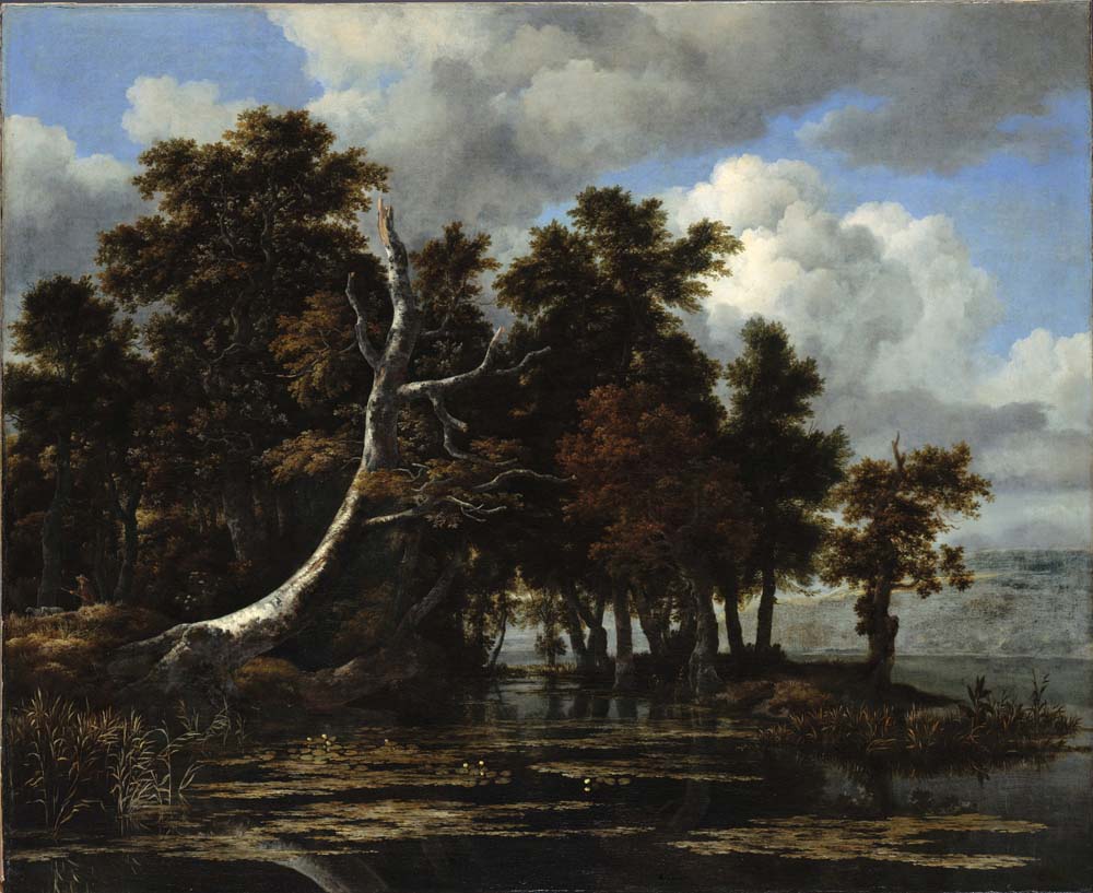 oaks at a lake by J. I. van Ruisdael, ca1652, 12x8" (A4) Poster