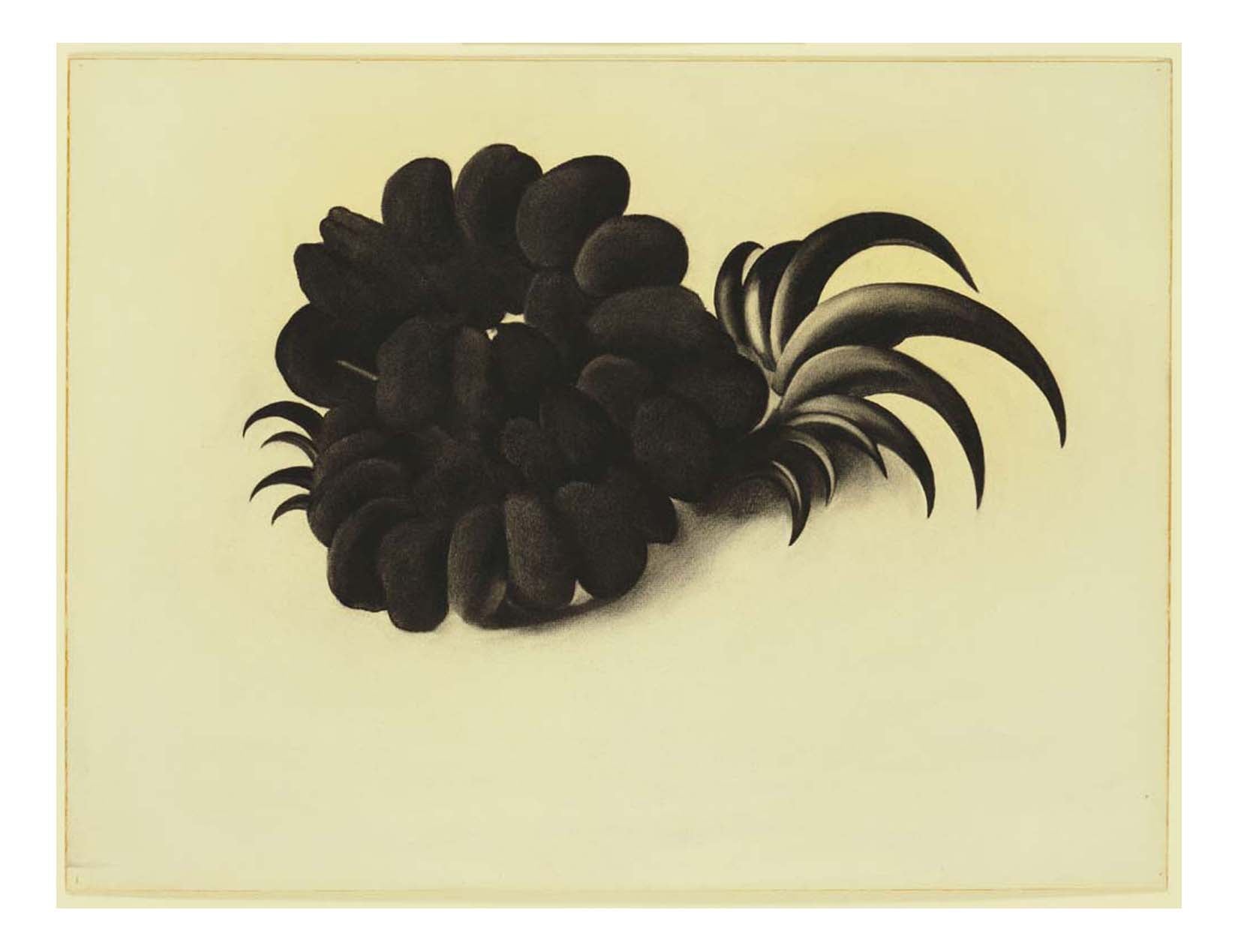 Georgia O'Keeffe - Eagle Claw and Bean Necklace, 16x12" (A3) Poster Print