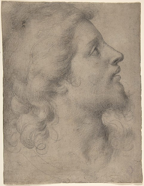 Head of a Bearded, Young Man in Profile Facing Right, vintage artwork by Agnolo Bronzino, A3 (16x12") Poster Print