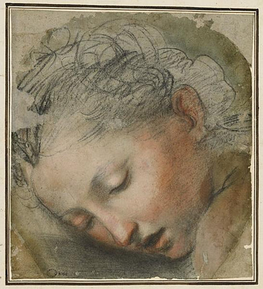 Head of a Woman (study for a Deposition), vintage artwork by Federico Barocci, 12x8" (A4) Poster