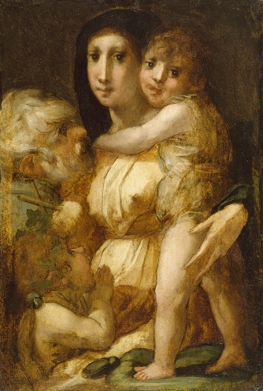 Holy Family with the Infant Saint John the Baptist, vintage artwork by Rosso Fiorentino, A3 (16x12") Poster Print