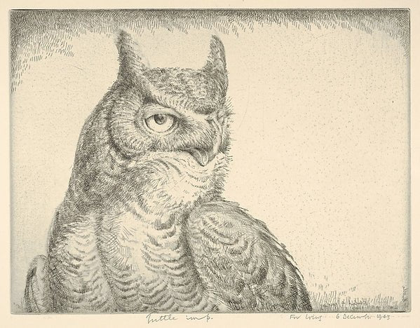 Horned Owl  1940-Henry Emerson Tuttle , vintage art, A3 (16x12") Poster Print